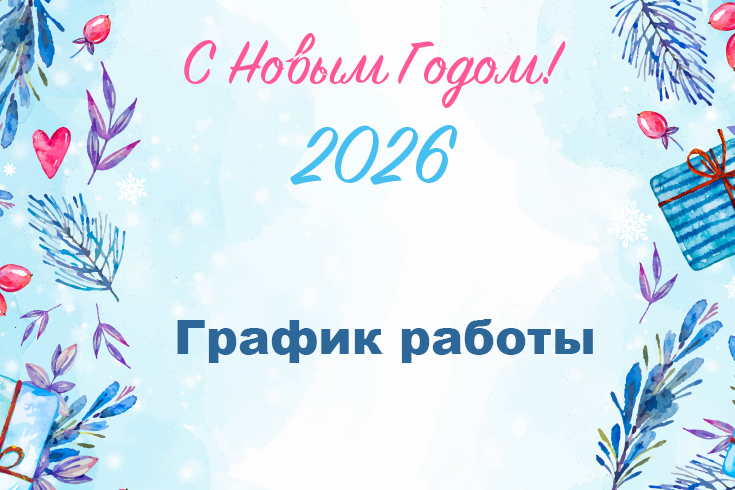 Поздравление и график работы в новогодние праздники 2026